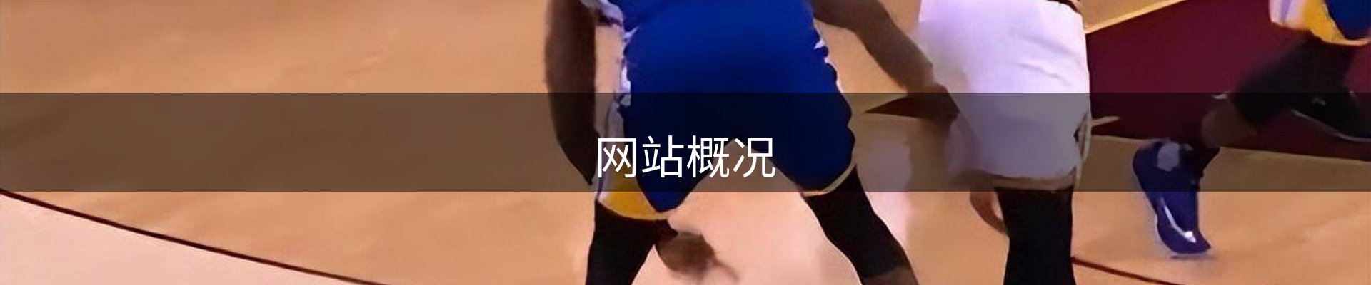 网站概况